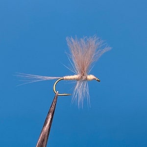 Light Cahill CDC Thorax Dun, 3-pack
