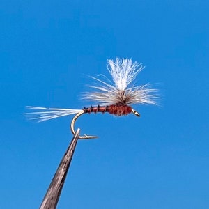 May include: A brown and white fly fishing lure with a white tail and a brown body. The lure is tied on a hook and is ready to be cast.