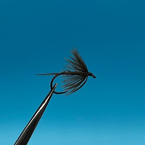 Peut inclure: Gros plan d'une mouche de pêche, tenue par une pince à épiler sur fond bleu. L'appât est doté d'un hameçon noir et de plumes gris foncé, conçu pour imiter un insecte. Cette mouche est utilisée pour la pêche.