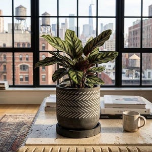 6 Inch Concrete Planter with Saucer, Modern Grey Herringbone Plant Pot with Drainage, Industrial Cement Indoor Outdoor Pot, 6" Cylinder