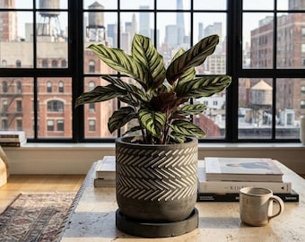 6 Inch Concrete Planter with Saucer, Modern Grey Herringbone Plant Pot with Drainage, Industrial Cement Indoor Outdoor Pot, 6" Cylinder