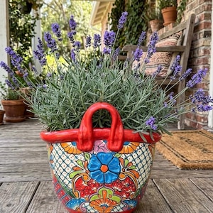 May include: A vibrant, hand-painted ceramic planter with a red rim and handles, filled with lavender. The planter features a colorful floral design with blue, orange, and green accents. The planter is sitting on a wooden deck.