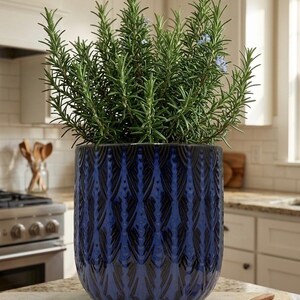 Dark Blue Planter - Etsy Australia