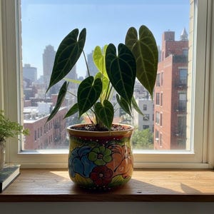 Handmade Mexican Talavera Style Planter | 7-Inch Ceramic Flower Pot with Drainage | Indoor/Outdoor Multi-Color Clay Pottery