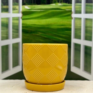 Sunglow Ceramic Planter Pot with Saucer Attached/Gift for him/Gift for Her/ Planters and pots/Plant Lovers/Birthday Gift