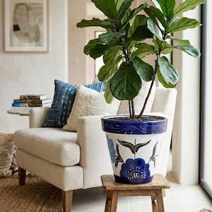 May include: A large fiddle leaf fig plant with broad, dark green leaves potted in a white ceramic planter. The planter features a deep blue rim with a white swirl pattern and a hand-painted blue floral design with black leaf accents.