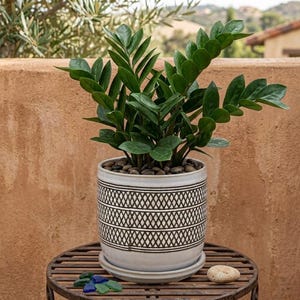 6 Inch Modern Lattice Ceramic Barrel Planter with Attached Saucer – White & Charcoal Boho Indoor Outdoor Pot – Drainage Hole – Stylish Plant