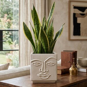 Puede incluir: Una maceta cuadrada de cerámica color blanco hueso con un diseño de rostro abstracto en relieve en la parte frontal. La maceta contiene una planta de serpiente alta con hojas en forma de espada, veteadas en verde y amarillo, que crecen.