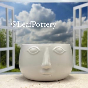 Lowy  White  Ceramic Planter Pot without drainage hole/Planters and pots/Ceramic planters/Indoor Planters/Plant Pot/Indoor Plant Pot/Planter