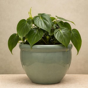 Sage Green Ceramic Planter with Crackle Glaze, 9 Inch Round Indoor Pot, Handmade Flower Pot from Vietnam, Minimalist Home Decor, Plant Pot