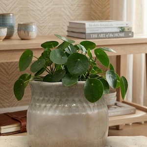 ニュートラルカラーの釉薬をかけたセラミック製プランター、8インチの丸型ボヘミアン風フラワーポット、手作りのリブ付きストーンウェア花瓶、モダンファームハウススタイルのホームデコレーション、プランターポット