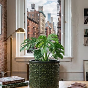 May include: A variegated Monstera plant with large, split, green and white leaves potted in a cylindrical, dark green ceramic planter featuring a repeating geometric embossed pattern on its exterior surface.