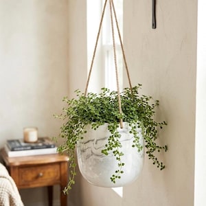 Maceta colgante con diseño de mármol, maceta colgante de cerámica blanca para plantas de interior, maceta colgante de pared estilo bohemio sin drenaje, decoración moderna para el hogar.