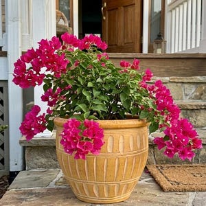 Puede incluir: Una taza de cerámica blanca con un asa negra y el texto "But First, Coffee" en negro y negrita. La taza está sobre una superficie blanca. La taza mide aproximadamente 10 cm de alto.
