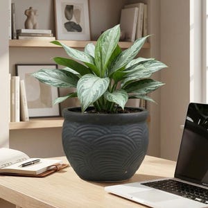 Matowa szara ceramiczna doniczka z drenażem, 10-calowa okrągła, falista doniczka z teksturą, nowoczesna doniczka na sukulenty do użytku wewnątrz i na zewnątrz, doniczka