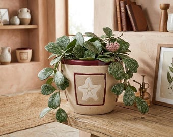 Starfish Ceramic Planter Pot, 6 Inch Nautical Flower Pot, Handmade Coastal Home Decor, Tropical Succulent Pot Made in Vietnam