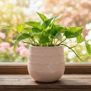 Handcrafted Pink Ceramic Barrel Planter – 7" Round Modern Indoor/Outdoor Flower Pot – Made in Vietnam – Glossy Boho Home Decor – No Drainage