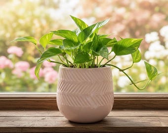 Vaso de cerâmica rosa artesanal em formato de barril – 18 cm de diâmetro, moderno, para uso interno e externo – Fabricado no Vietnã – Decoração boho brilhante – Sem sistema de drenagem