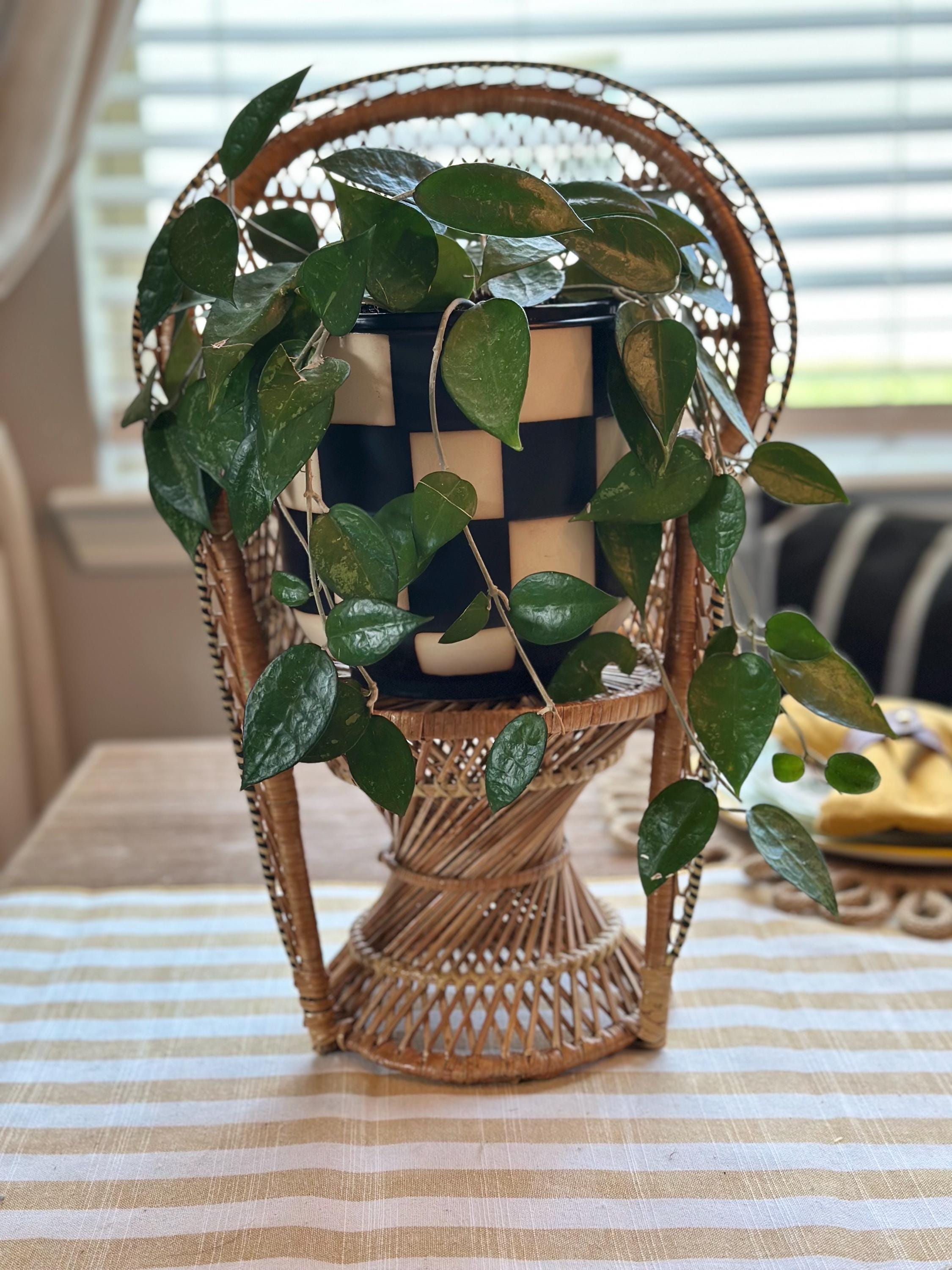 Vintage Rattan Peacock Chair Planter Plant Stand Doll Furniture 16