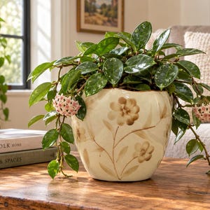 May include: A cream-coloured ceramic planter with a scalloped rim and hand-painted brown floral motifs. The planter holds a lush Hoya plant with glossy, dark green, speckled leaves and clusters of small, star-shaped pale pink flowers.