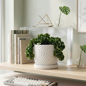 Maceta de cerámica blanca de 15 cm con platillo, moderna maceta de barril Chevron, maceta de interior con drenaje, decoración minimalista geométrica.