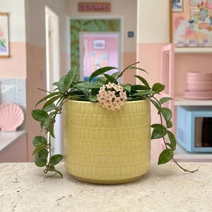 Yellow Ceramic Planter Pot with Texture, 6 Inch Handcrafted Indoor Outdoor Flower Pot, Modern Boho Home Decor, Made in Vietnam, No Drainage