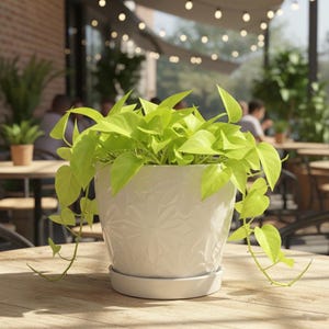 6 Inch White Ceramic Planter with Drainage Hole - Embossed Floral Leaf Pattern Plant Pot - Modern Farmhouse Home Decor - Elegant Plant Pot