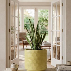 May include: A tall snake plant with green and yellow striped leaves in a light yellow ceramic planter. The planter has a textured, rectangular pattern. The plant sits on a stone surface with a small vase and books nearby.