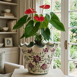 May include: A potted anthurium plant with three vibrant red spathes and large green heart-shaped leaves. The plant is housed in a cream-colored ceramic planter featuring a scalloped rim and a hand-painted pattern of purple flowers and green vines.