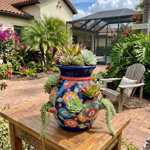 May include: A colourful, hand-painted ceramic planter filled with succulents. The blue planter features floral designs and sits on a rustic wooden table. The background includes a house, greenery, and a sunny sky.