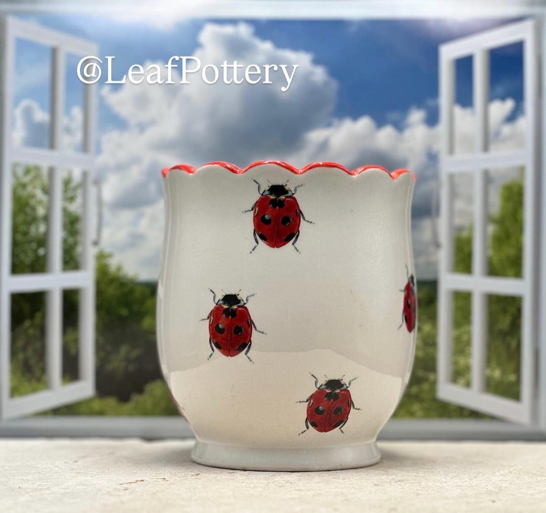 Princess Ladybug White/red Ceramic Planter Pot With Drainage Hole ...