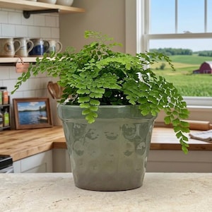 Handmade Green Ceramic Planter with Drainage Hole - 7 inch Round Clay Flower Pot for Indoor Outdoor Plants - Handcrafted in Vietnam - Green