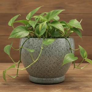 Handmade Green Ceramic Planter with Drainage Hole - 7.5" Textured Clay Pot for Houseplants - Made in Vietnam - Modern Minimalist Boho Decor