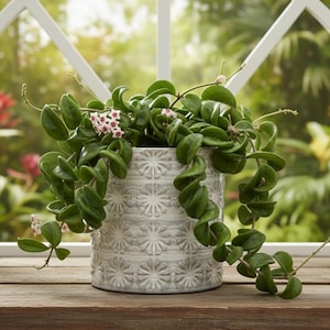 Moderne boho bloemenbak met bloemen - 5" grijze en bruine keramische binnenpot, met de hand getextureerde sappige plantenbak met madeliefjespatroon, decoratief huisaccent