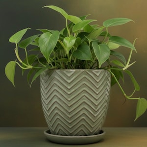 Sage Green Chevron Ceramic Planter with Attached Saucer | 7-Inch Handcrafted Vietnamese Clay Pot | Indoor & Outdoor Frost-Resistant Flower