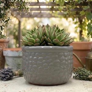 Gray Textured Ceramic Planter with Drainage Hole - 6" Round Modern Succulent Pot - Handmade Clay Flower Pot Made in Vietnam - Indoor Outdoor
