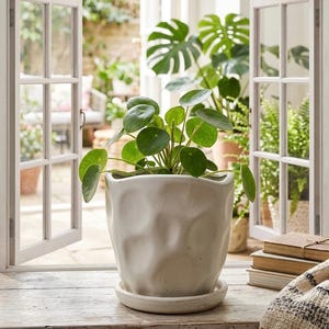May include: A white ceramic plant pot with a textured, dimpled surface and a matching circular saucer. The pot contains a green Pilea peperomioides plant with round, flat leaves. The plant pot sits on a wooden surface near an open window.