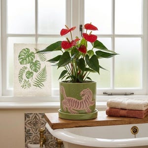 Tiger Ceramic Planter with Saucer 5 Inch, Cute Green Indoor Plant Pot with Drainage, Bohemian Floral Flower Pot, Unique Gardening Gift