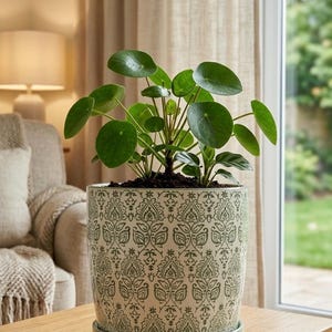 Ceramic Planter with Saucer Attached 7 Inch | Green Patterned Flower Pot with Drainage Hole | Boho Indoor Plant Pot, Gardening Gift