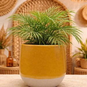 7-inch Mustard Yellow Ceramic Planter - Two-Tone Dipped Flower Pot - Mid Century Modern Indoor Planter - Handcrafted Stoneware