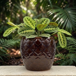 Handcrafted Brown Barrel Planter - 7" Ceramic Indoor Outdoor Pot with Drainage Hole, Made in Vietnam, High-Glaze Pineapple Texture