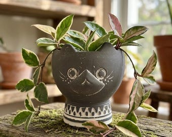 Cute Cat Planter Pot - 4" Gray and White Ceramic Kitten Succulent Pot, Unique Animal Flower Pot for Indoor Outdoor Plants, Plant Pot