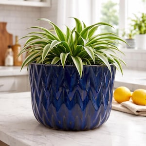 Blue Ceramic Barrel Planter - 8 Inch Handcrafted Clay Pot with Drainage - Frost Resistant Indoor Outdoor Flower Pot - Handmade in Vietnam