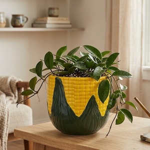 May include: A ceramic plant pot shaped like an ear of corn with a bright yellow, textured kernel pattern on the upper portion and smooth, dark green husks at the base, containing a lush green trailing plant with thick, waxy, oval-shaped leaves.