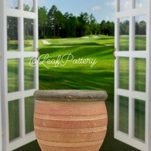 Red Carrot Clay Planter Pot/ Planters and pots/Birthday Gift/ Gift for him/Gift for her/ Plant Lovers