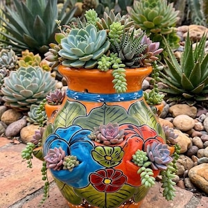 May include: A vibrant, hand-painted ceramic planter filled with a variety of succulents. The orange, blue, and green planter features floral designs and is overflowing with different types of succulents. The planter is on a brick surface, with other succulents in the background.