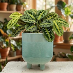 Jardinière tonneau en céramique turquoise avec pieds montants - Pot de plante moderne Mid-Century de 7 po. - Jardinière décorative intérieure et extérieure bleu sarcelle