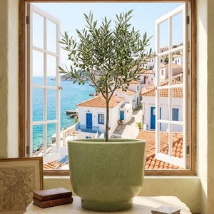 May include: A light green ceramic planter with a smooth finish holds a small olive tree. The planter sits on a stone table in front of an open window overlooking a coastal village with white buildings, blue doors, and a blue sea.