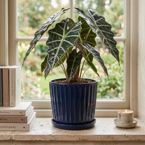 18 Inch Ceramic Plant Saucer - Etsy