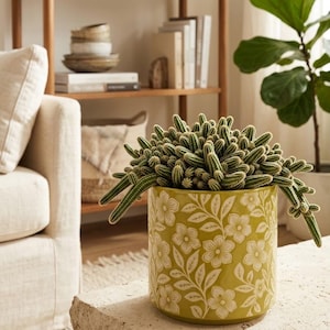 May include: A cylindrical olive green ceramic planter featuring a white embossed floral and leaf pattern. The planter contains a dense cluster of small, elongated green cacti with visible spines that drape over the sides of the container.
